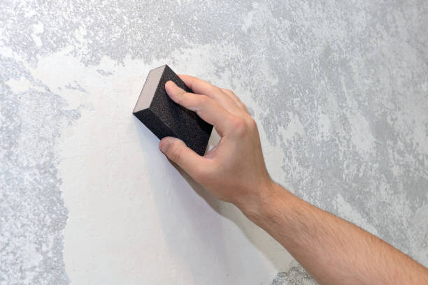 Best Industrial Mold Remediation  in Kemp Mill, MD