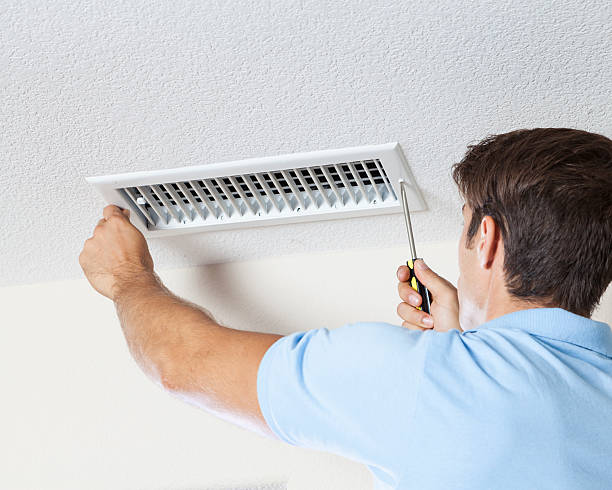 Best Black Mold Removal  in Kemp Mill, MD